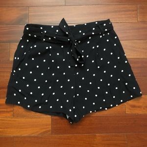 NWT Loft Polka Dot Shorts